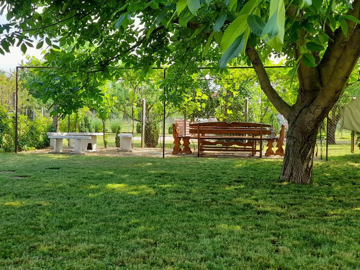 Negy Evszak Vendeghaz Hotel Balatonboglár Buitenkant foto